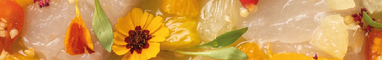 tiragosto_Prancheta 1.jpg