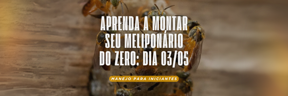 Curso Meliponicultor Iniciante